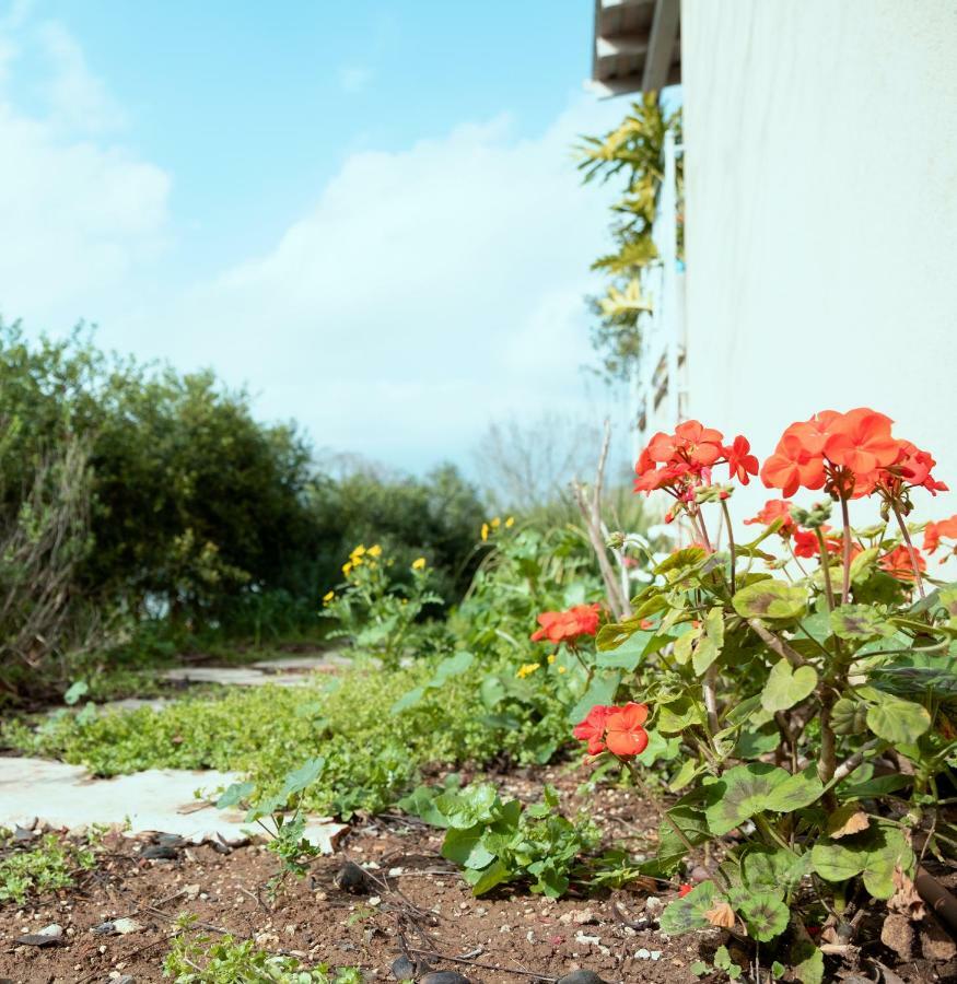 Beautiful Apartment In Kibbutz Yifat Yif'at Bagian luar foto